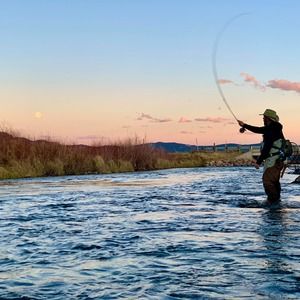 Meet your Posher, Mike